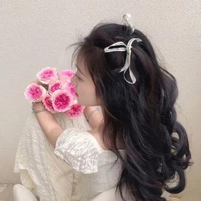 老师与流浪猫