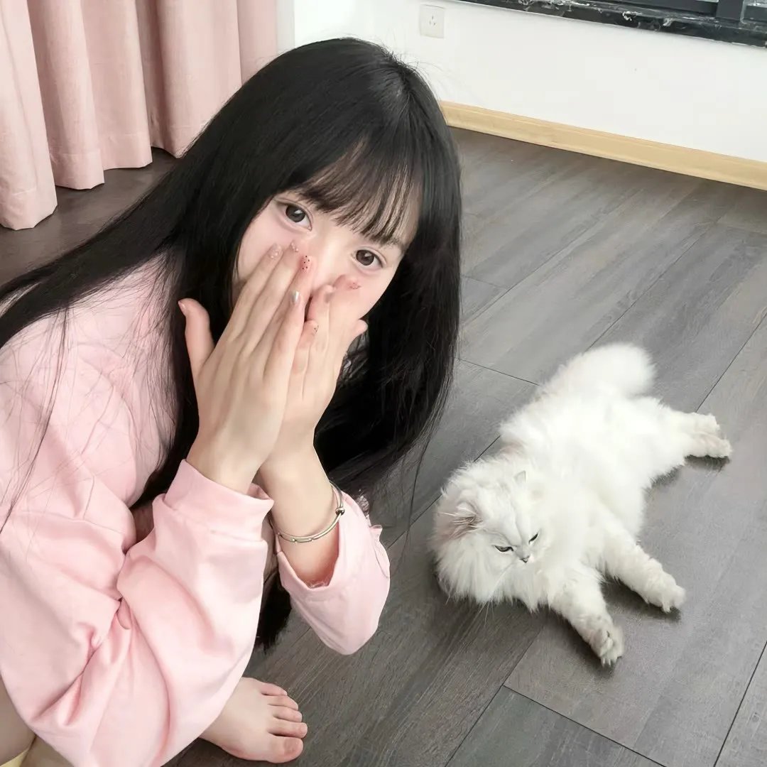 飞箭